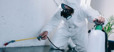 pest control worker spraying pesticides on floor at home