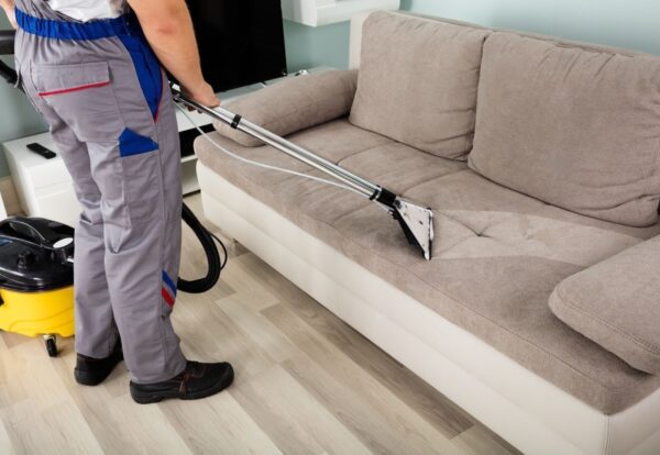 stock-photo-rear-view-of-young-male-worker-cleaning-sofa-with-vacuum-cleaner-555970786-transformed